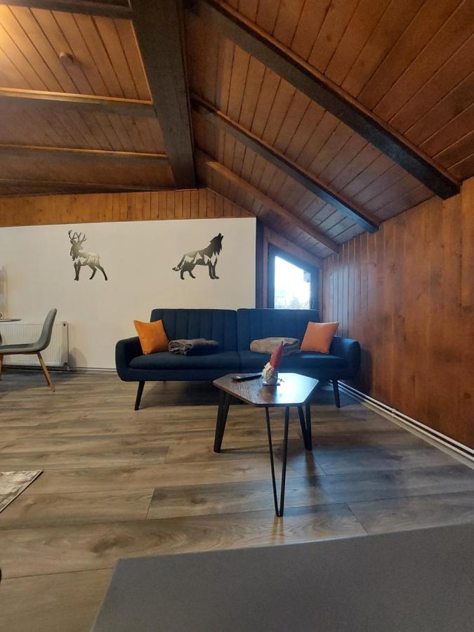 Snug Apartments - Private Parking Near Downtown Braşov Exterior foto
