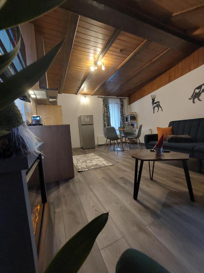 Snug Apartments - Private Parking Near Downtown Braşov Exterior foto